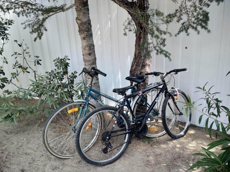 Maison Jardin Wifi - Climatisation - 100 M Plage Sauvage - 20 Min Perpignan Torreilles Luaran gambar